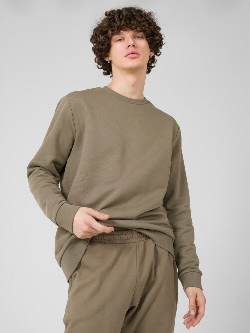 Men's pullover sweatshirt without hood