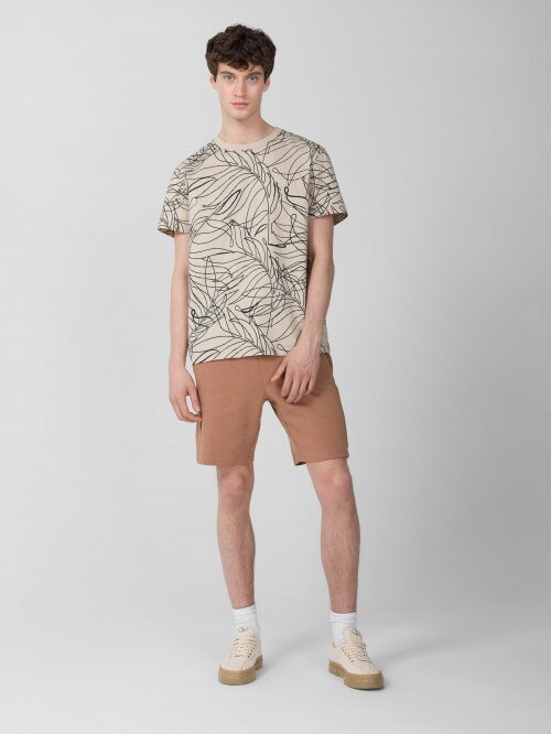 Men's tshirt with print